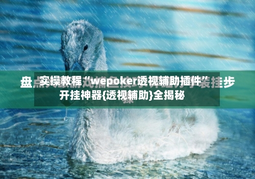 实操教程“wepoker透视辅助插件	”开挂神器{透视辅助}全揭秘-第2张图片