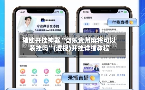辅助开挂神器“微乐贵州麻将可以装挂吗”(透视)开挂详细教程-第1张图片