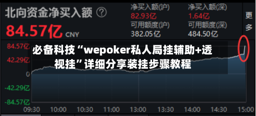 必备科技“wepoker私人局挂辅助+透视挂”详细分享装挂步骤教程-第2张图片