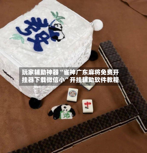 玩家辅助神器“雀神广东麻将免费开挂器下载微信小	”开挂辅助软件教程-第3张图片