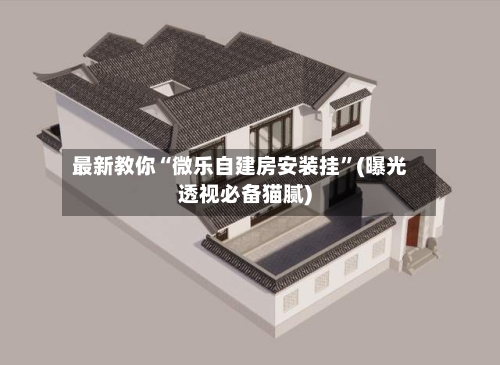 最新教你“微乐自建房安装挂”(曝光透视必备猫腻)-第1张图片