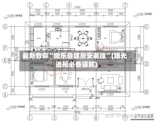 最新教你“微乐自建房安装挂	”(曝光透视必备猫腻)-第2张图片