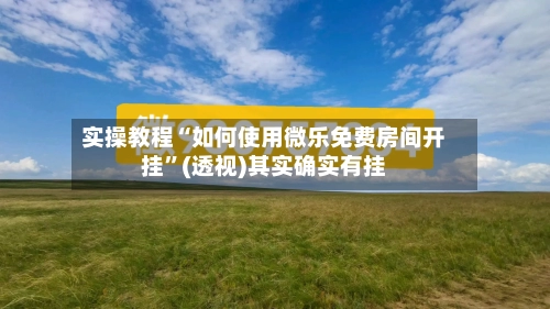 实操教程“如何使用微乐免费房间开挂”(透视)其实确实有挂-第2张图片