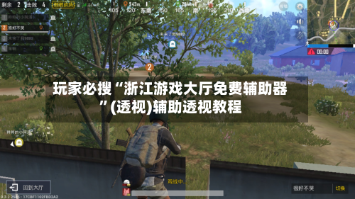 玩家必搜“浙江游戏大厅免费辅助器”(透视)辅助透视教程-第3张图片