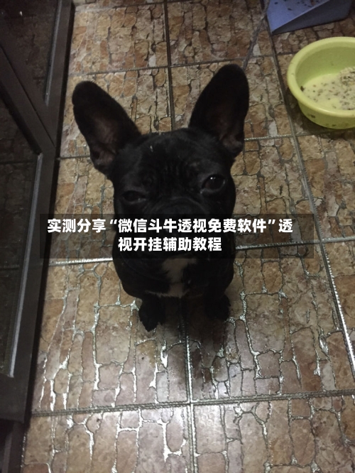 实测分享“微信斗牛透视免费软件”透视开挂辅助教程-第3张图片