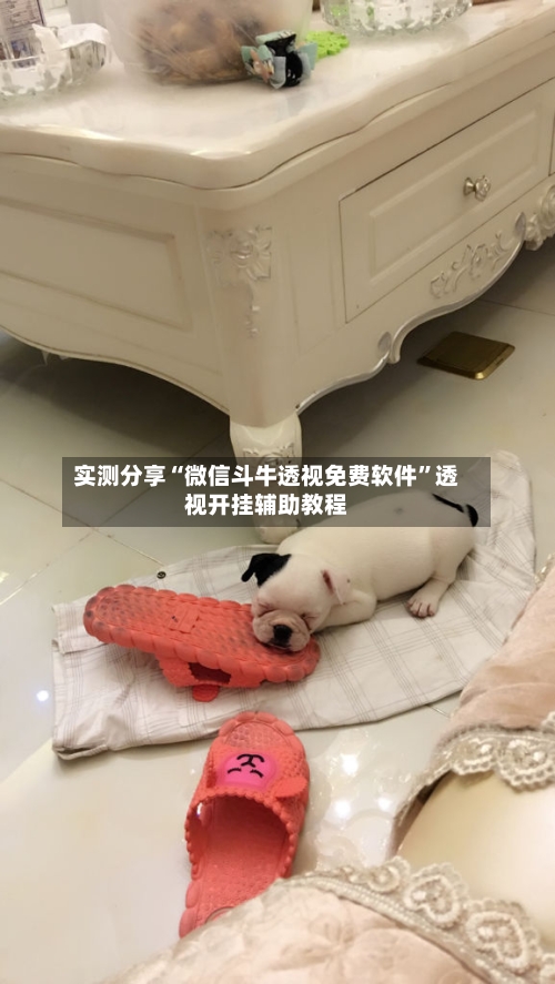 实测分享“微信斗牛透视免费软件”透视开挂辅助教程-第2张图片