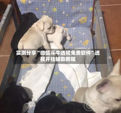 实测分享“微信斗牛透视免费软件”透视开挂辅助教程-第1张图片