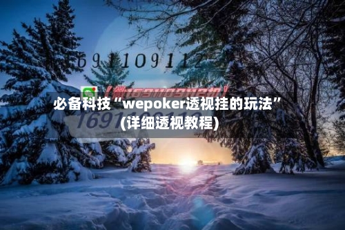 必备科技“wepoker透视挂的玩法	”(详细透视教程)-第1张图片