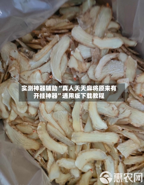 实测神器辅助“真人天天麻将原来有开挂神器	”通用版下载教程-第1张图片