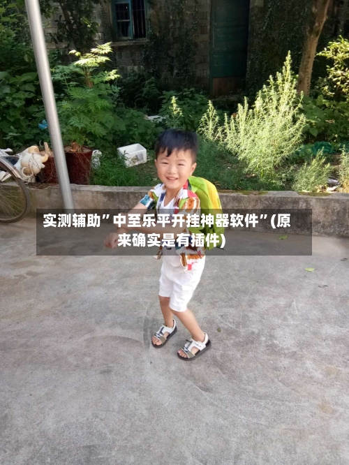 实测辅助”中至乐平开挂神器软件”(原来确实是有插件)-第1张图片