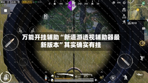 万能开挂辅助“新道游透视辅助器最新版本”其实确实有挂-第2张图片