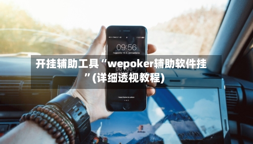 开挂辅助工具“wepoker辅助软件挂”(详细透视教程)-第2张图片