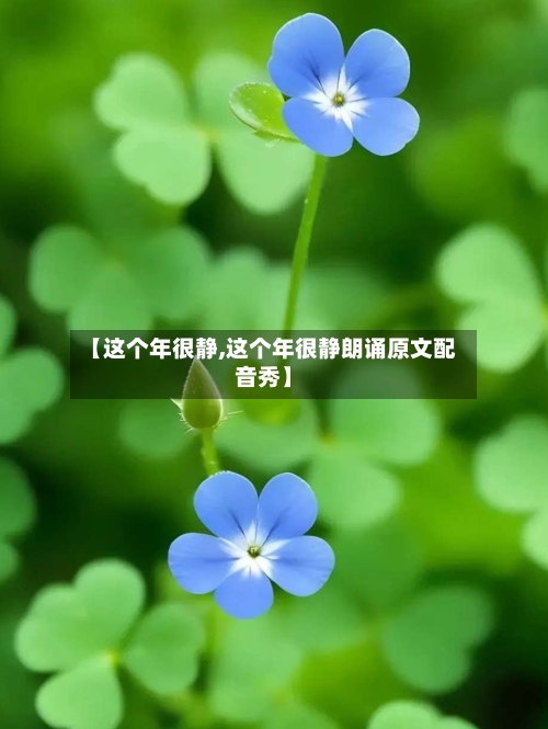 【这个年很静,这个年很静朗诵原文配音秀】-第2张图片