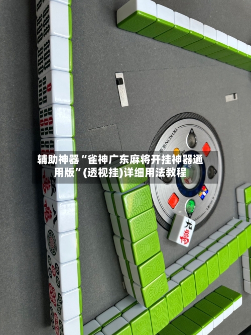 辅助神器“雀神广东麻将开挂神器通用版”(透视挂)详细用法教程-第2张图片