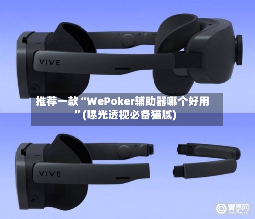 推荐一款“WePoker辅助器哪个好用”(曝光透视必备猫腻)-第1张图片