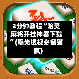3分钟教程“哈灵麻将开挂神器下载	”(曝光透视必备猫腻)-第2张图片