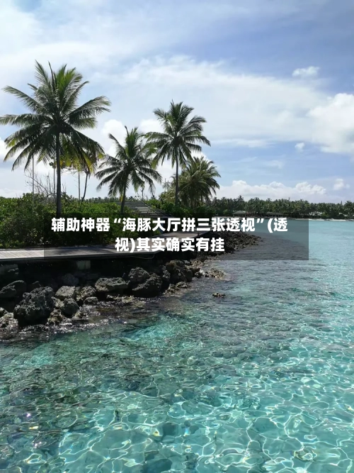 辅助神器“海豚大厅拼三张透视”(透视)其实确实有挂-第1张图片