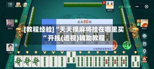 [教程经验]“天天摸麻将挂在哪里买”开挂(透视)辅助教程-第3张图片