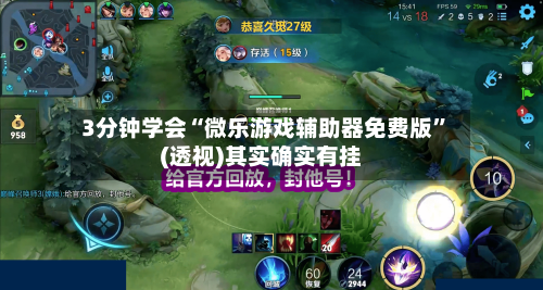 3分钟学会“微乐游戏辅助器免费版”(透视)其实确实有挂-第2张图片