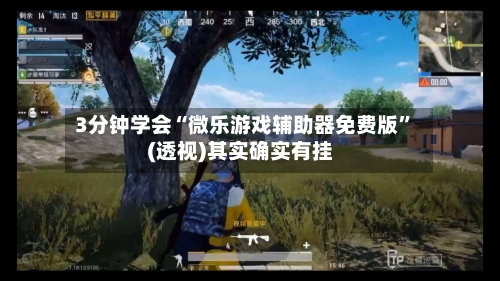 3分钟学会“微乐游戏辅助器免费版”(透视)其实确实有挂-第1张图片