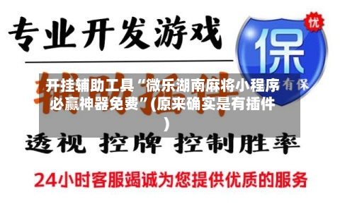开挂辅助工具“微乐湖南麻将小程序必赢神器免费”(原来确实是有插件)-第2张图片