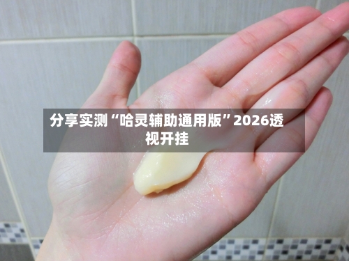 分享实测“哈灵辅助通用版”2026透视开挂-第2张图片