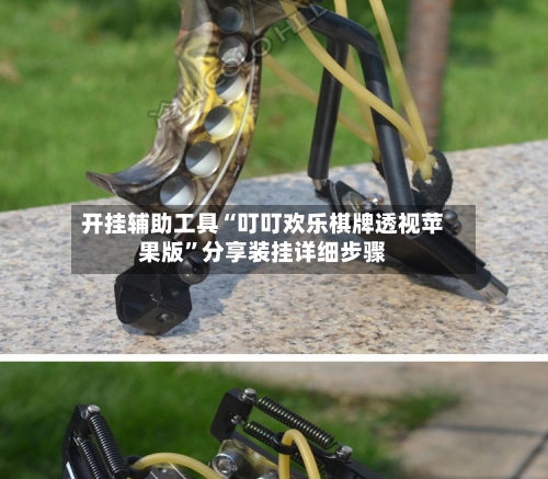 开挂辅助工具“叮叮欢乐棋牌透视苹果版”分享装挂详细步骤-第3张图片