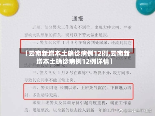 【云南新增本土确诊病例12例,云南新增本土确诊病例12例详情】-第3张图片