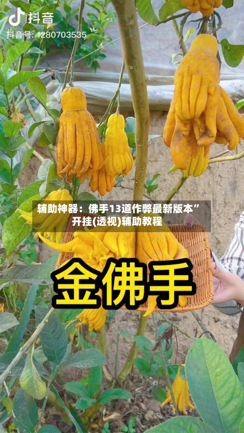 辅助神器：佛手13道作弊最新版本”开挂(透视)辅助教程-第2张图片