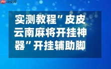 实测教程”皮皮云南麻将开挂神器	”开挂辅助脚本+详细-第1张图片