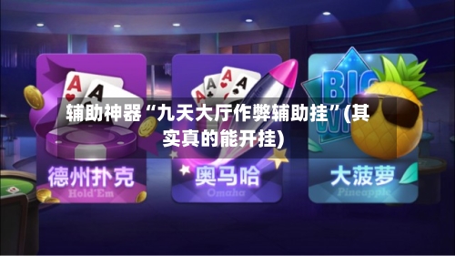 辅助神器“九天大厅作弊辅助挂”(其实真的能开挂)-第2张图片