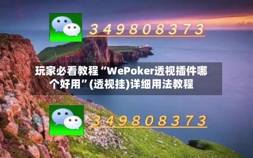 玩家必看教程“WePoker透视插件哪个好用”(透视挂)详细用法教程-第3张图片