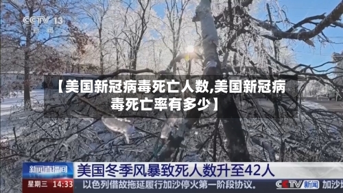 【美国新冠病毒死亡人数,美国新冠病毒死亡率有多少】-第1张图片