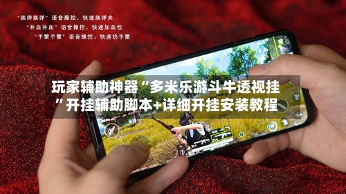 玩家辅助神器“多米乐游斗牛透视挂	”开挂辅助脚本+详细开挂安装教程-第2张图片