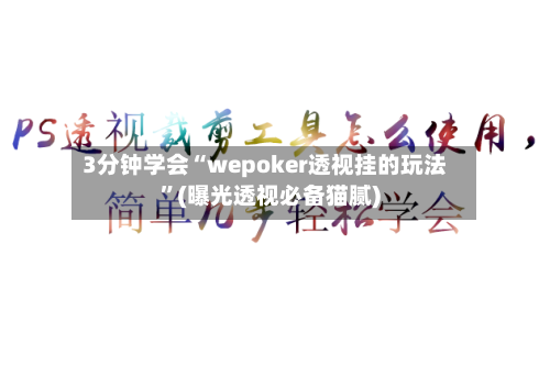 3分钟学会“wepoker透视挂的玩法”(曝光透视必备猫腻)-第1张图片
