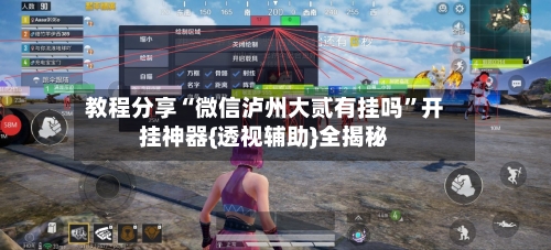 教程分享“微信泸州大贰有挂吗”开挂神器{透视辅助}全揭秘-第3张图片