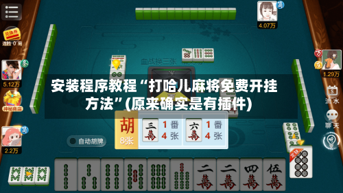 安装程序教程“打哈儿麻将免费开挂方法”(原来确实是有插件)-第2张图片