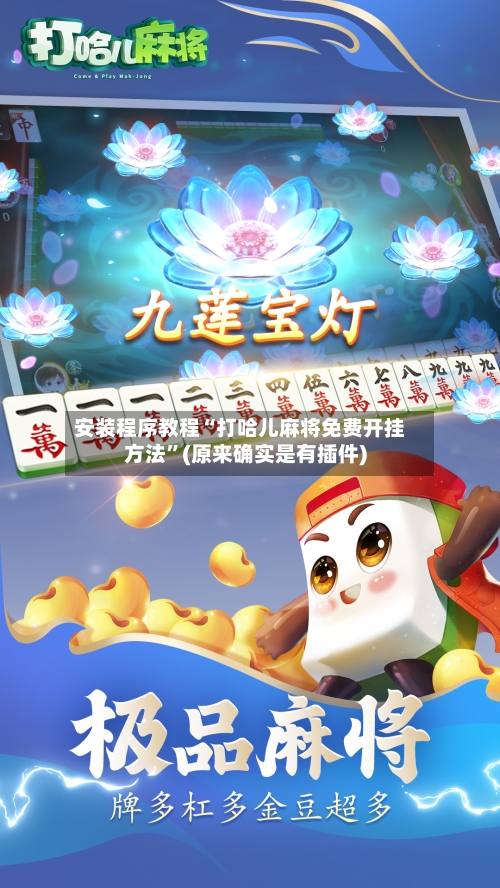 安装程序教程“打哈儿麻将免费开挂方法”(原来确实是有插件)-第3张图片