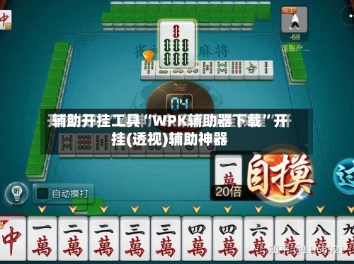 辅助开挂工具“WPK辅助器下载”开挂(透视)辅助神器-第3张图片