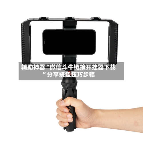 辅助神器“微信斗牛链接开挂器下载”分享装挂技巧步骤-第3张图片