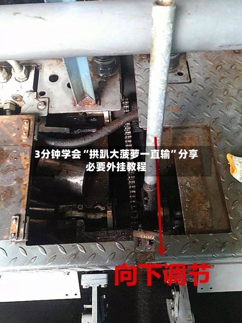 3分钟学会“拱趴大菠萝一直输”分享必要外挂教程-第1张图片