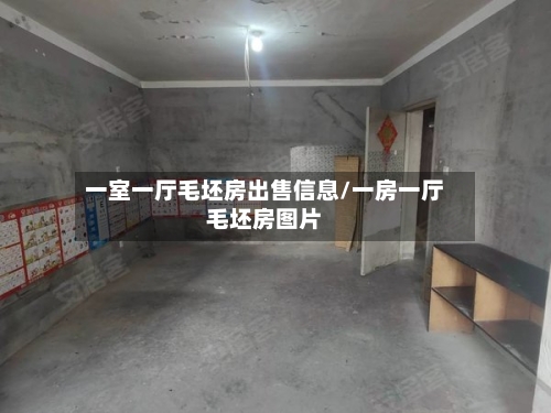 一室一厅毛坯房出售信息/一房一厅毛坯房图片-第3张图片