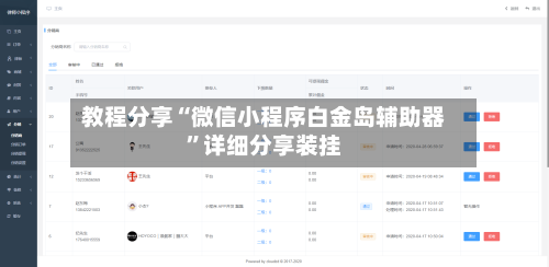 教程分享“微信小程序白金岛辅助器”详细分享装挂-第1张图片