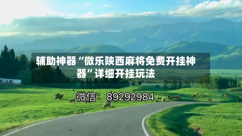 辅助神器“微乐陕西麻将免费开挂神器	”详细开挂玩法-第1张图片