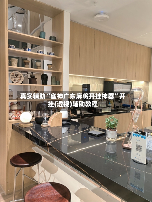 真实辅助“雀神广东麻将开挂神器”开挂(透视)辅助教程-第1张图片