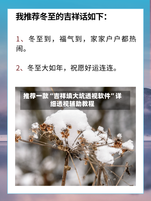 推荐一款“吉祥填大坑透视软件	”详细透视辅助教程-第1张图片
