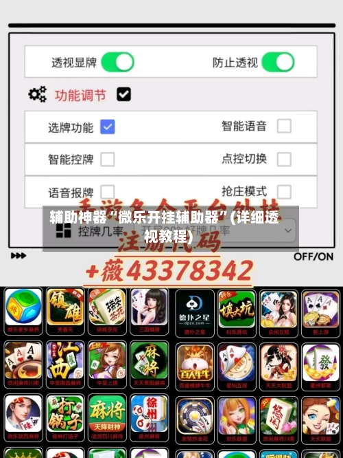 辅助神器“微乐开挂辅助器”(详细透视教程)-第2张图片