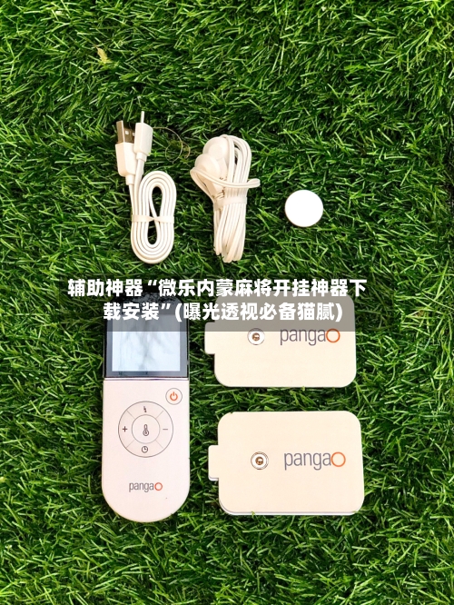 辅助神器“微乐内蒙麻将开挂神器下载安装”(曝光透视必备猫腻)-第1张图片