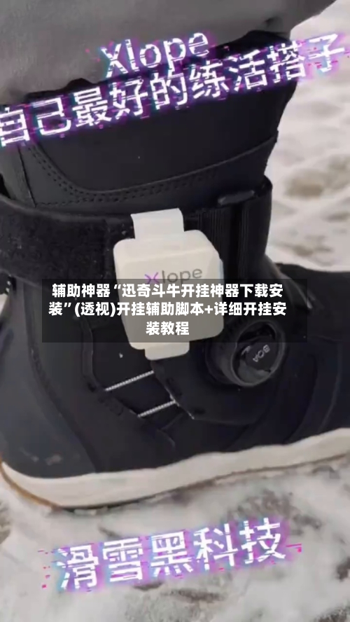 辅助神器“迅奇斗牛开挂神器下载安装”(透视)开挂辅助脚本+详细开挂安装教程-第3张图片