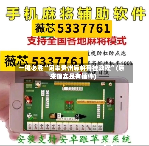 一键必胜“闲来贵州麻将开挂教程	”(原来确实是有插件)-第3张图片